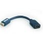 Câble adaptateur mini DVI mâle vers HDMI femelle