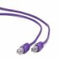 Câble patch Cableexpert UTP CAT5e, violet, 1 m