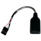 USB 2.0 AF vers 5 broches interne, 15 cm