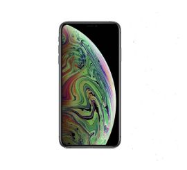 Apple iPhone XS Max - 256 Go - Gris sidéral - Garantie de 2 ans