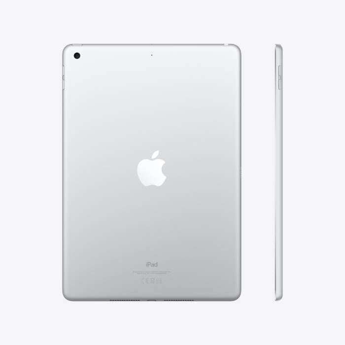 https://www.remarkt.fr/media/catalog/product/i/p/ipad_7_zilver_3.jpg